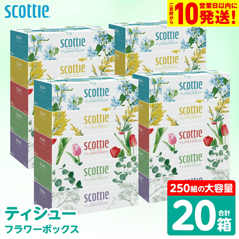 【ふるさと納税】 【スコッティ】 ティシュー フラワーボックス 250組 20箱 ティッシュ 日用品 生活必需品 消耗品 紙 まとめ買い 備蓄 防災備蓄 デザインボックス ストック 新生活 防災 生活用品 日用消耗品 箱ティッシュ 送料無料 8,400円