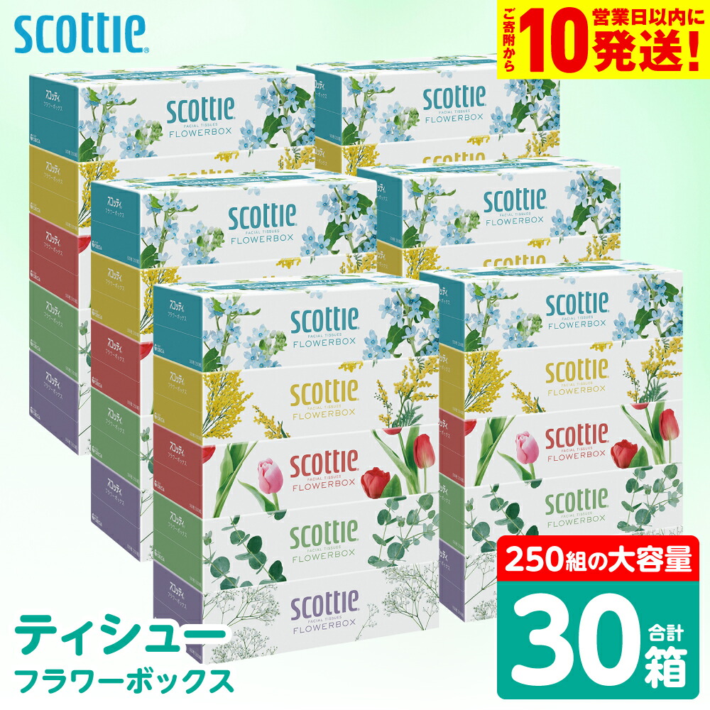 【ふるさと納税】【スコッティ】 ティシュー フラワーボックス 250組 30箱 ティッシュ 日用品 生活必需品 消耗品 紙 まとめ買い 備蓄 防災備蓄 デザインボックス ストック 新生活 防災 生活用品 日用消耗品 箱ティッシュ 送料無料