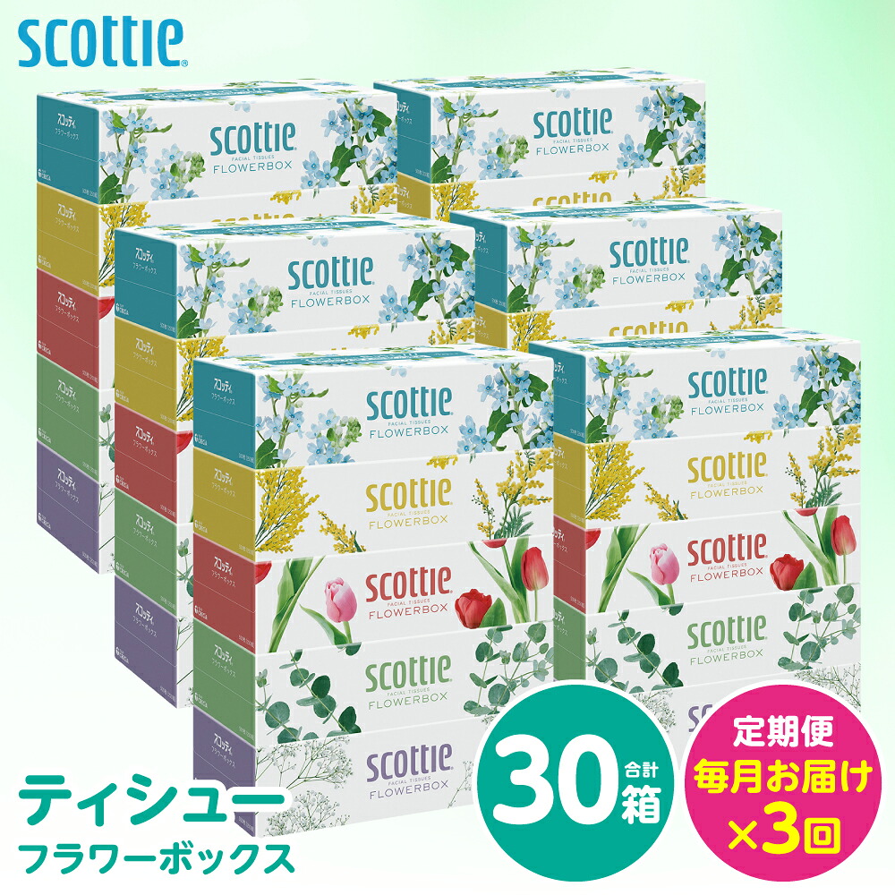 【ふるさと納税】【定期便3回】【毎月お届け】【スコッティ】 ティシュー フラワーボックス 250組 30箱 計90箱 ティッシュ 日用品 生活必需品 ストック 新生活 防災 生活用品 日用消耗品 箱ティッシュ 送料無料