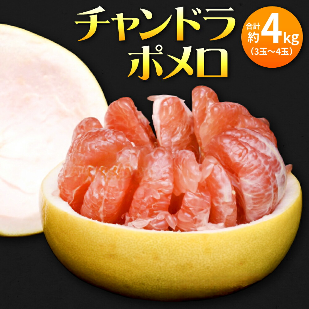 【ふるさと納税】 【先行予約】 チャンドラポメロ 約4kg（3玉～4玉） 柑橘 フルーツ 果物 くだもの 熊本県 送料無料 【2025年10月下旬より順次発送】