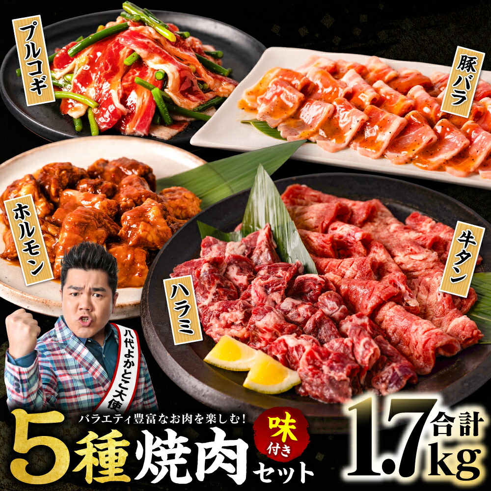 【ふるさと納税】【訳あり】焼肉 セット 5種盛り 計1.7kg 食べ比べ タン ハラミ ホルモン プルコギ 豚バラ 味付き 牛タン 牛肉 豚肉 冷凍 焼き肉 人気 BBQ オリジナルのタレ バラエティ豊富 ファミリーパック 晩酌 ビールのお供 送料無料｜熊本県八代市