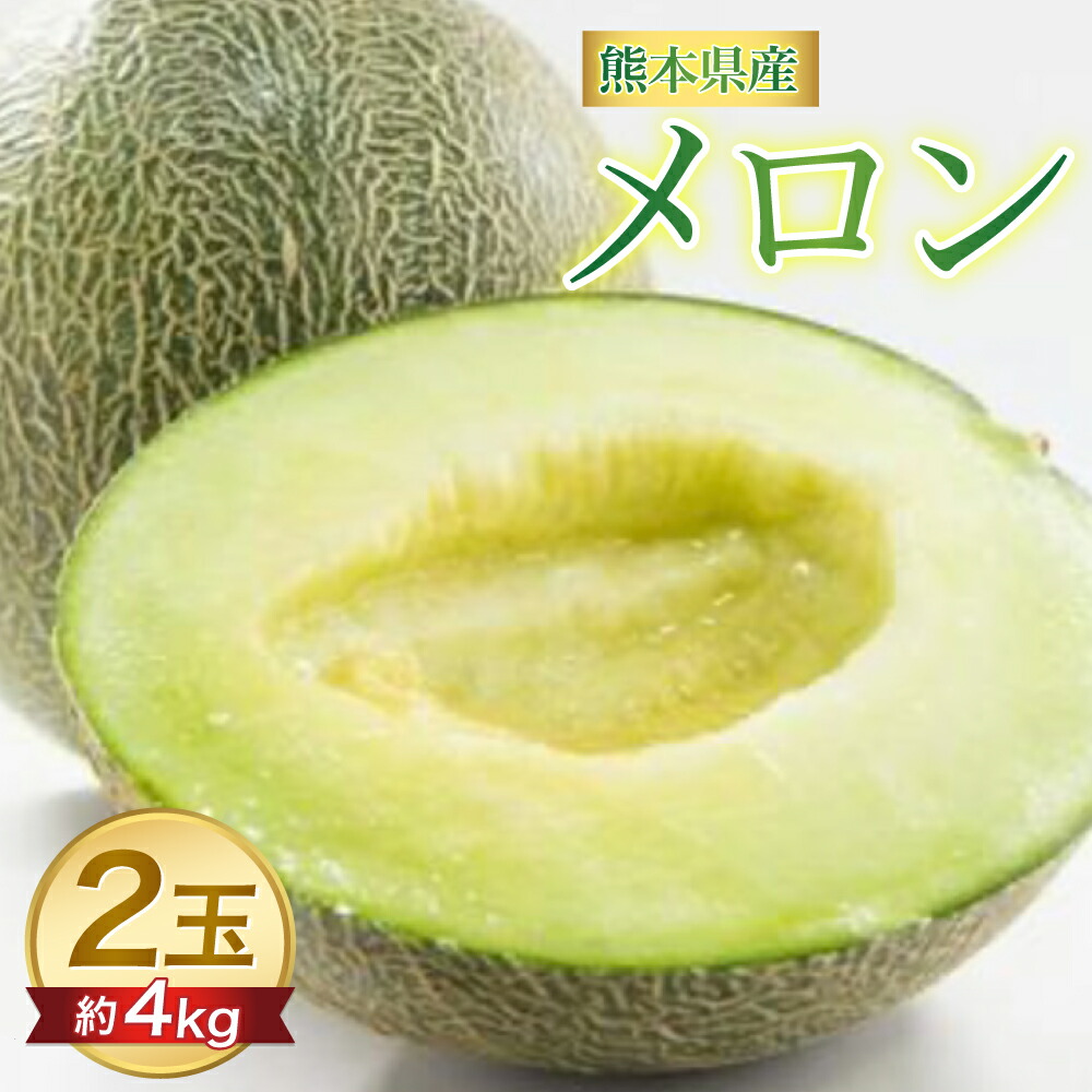 【ふるさと納税】【先行予約】肥後グリーンメロン 約4kg（2玉入）送料無料【2025年5月下旬より順次発送】