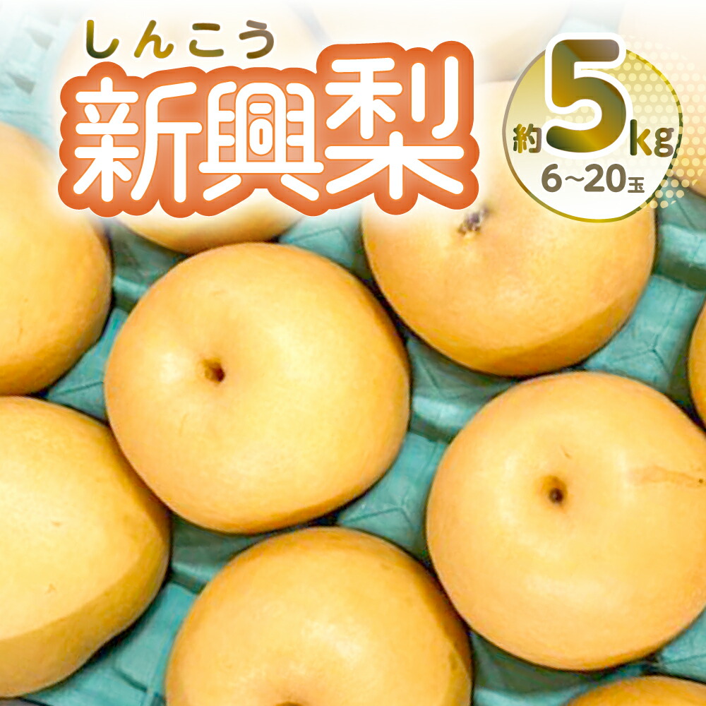 【ふるさと納税】【先行予約】新興梨 約5kg 6-20玉 梨 なし 熊本県産 送料無料【2025年10月上旬より順次発送】