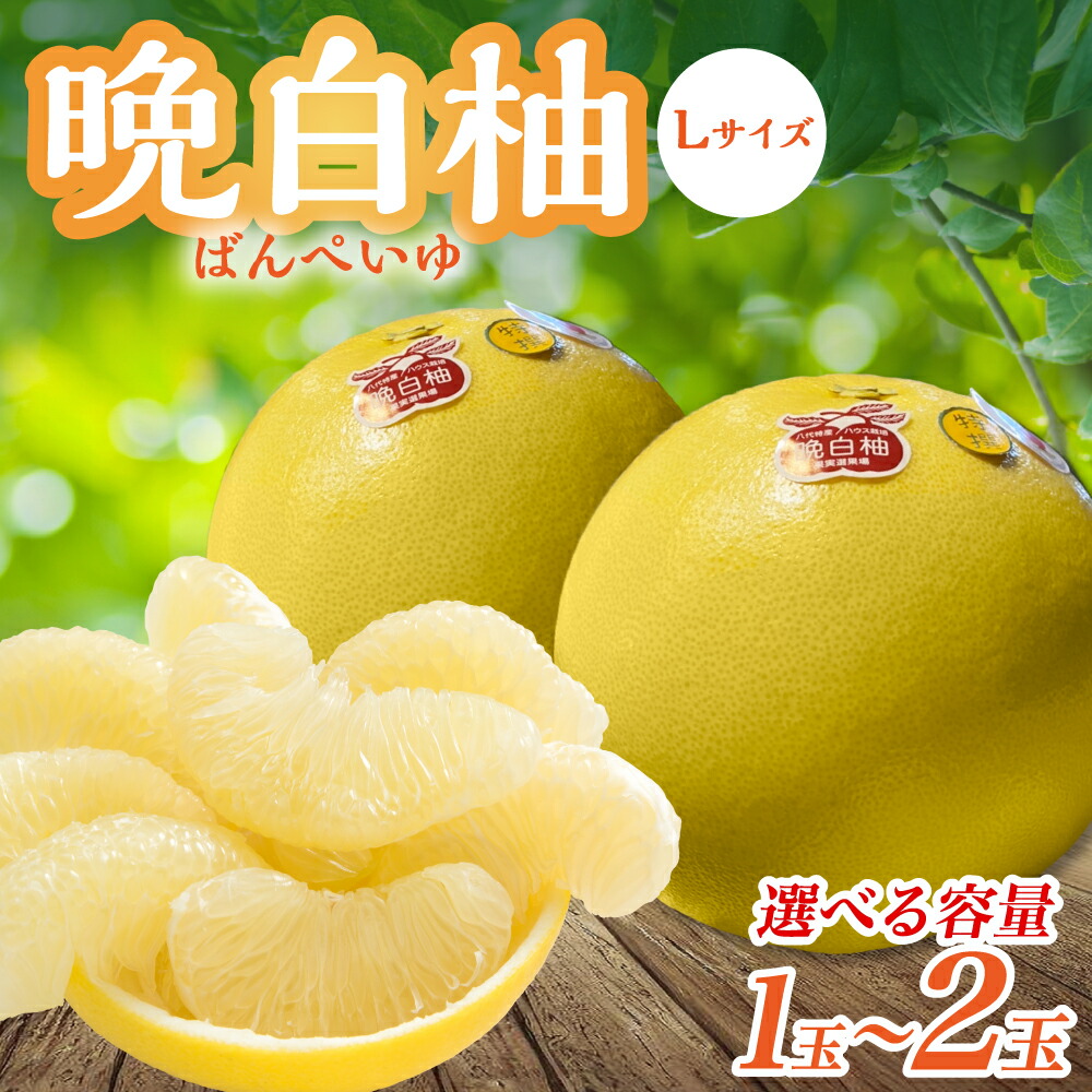 熊本県産　晩白柚　サイズおまかせ　4〜6玉　約8kg 熊本県産 晩白柚 サイズおまかせ 4〜6玉 約8kg