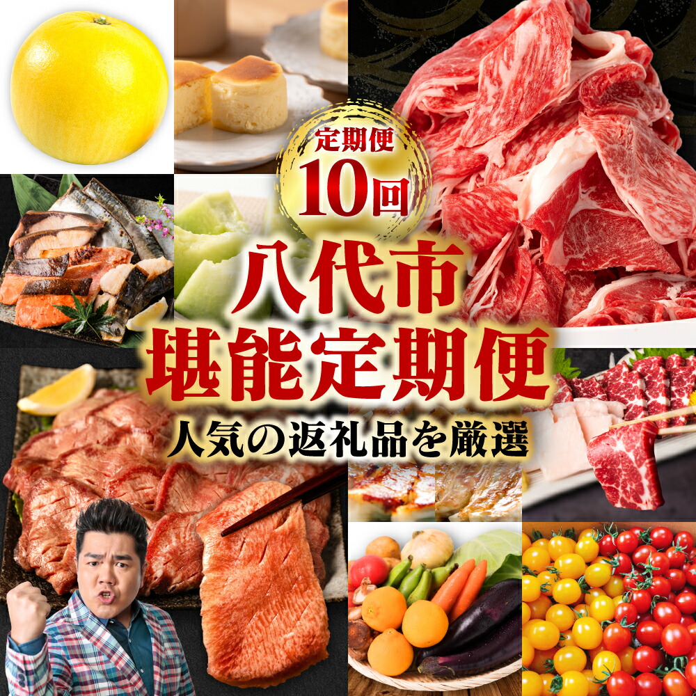 【ふるさと納税】【10回定期便】八代堪能定期便　送料無料