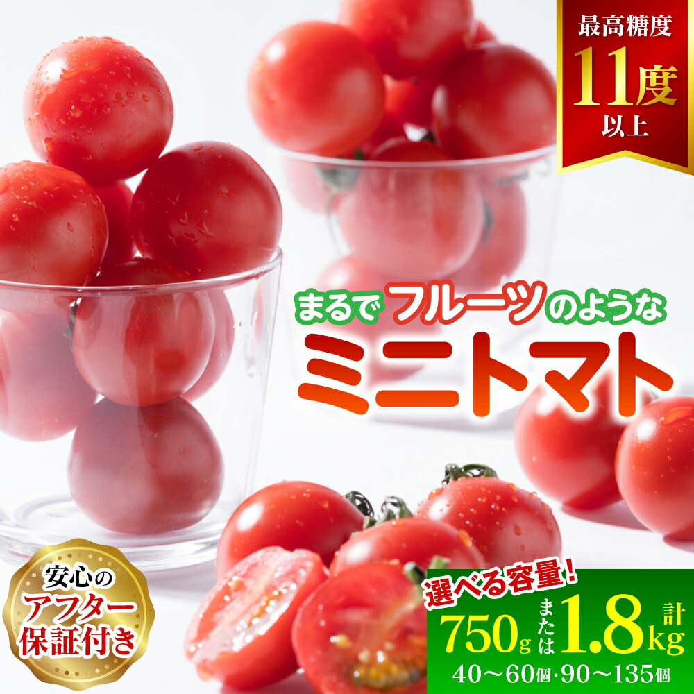 楽天市場】【ふるさと納税】【選べる内容量】ドトマト1号 1kg-2kg