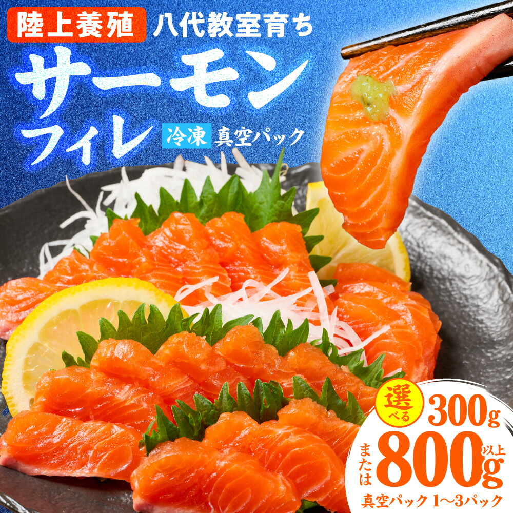 【ふるさと納税】サーモン 八代 教室育ち サーモンフィレ 300g以上 800g以上 【選べる内容量】 国産 陸上養殖サーモン 生サーモン サーモン 刺身 鮭 生食 魚 冷凍 海鮮 さけ サケ シャケ 熊本県 八代市 送料無料｜熊本県八代市