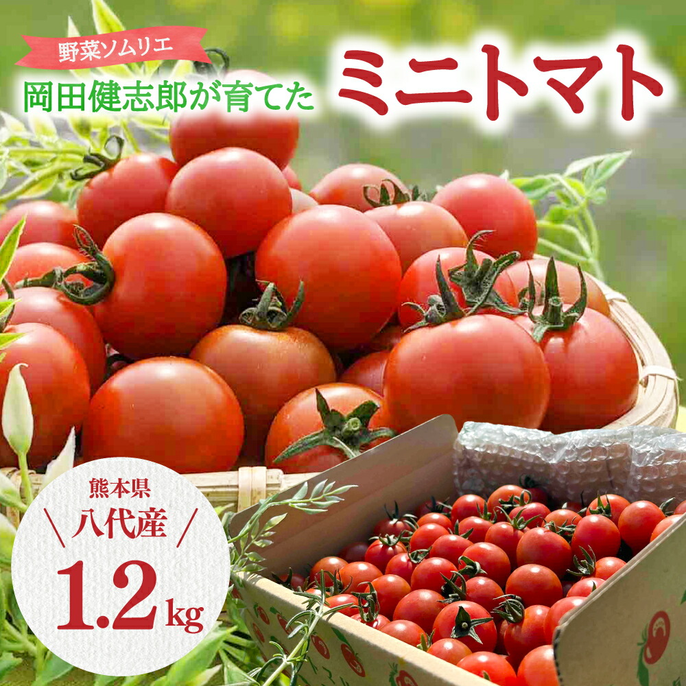 【ふるさと納税】野菜ソムリエ岡田健志郎が育てた ミニトマト 1.2kg トマト 野菜 熊本県産 送料無料