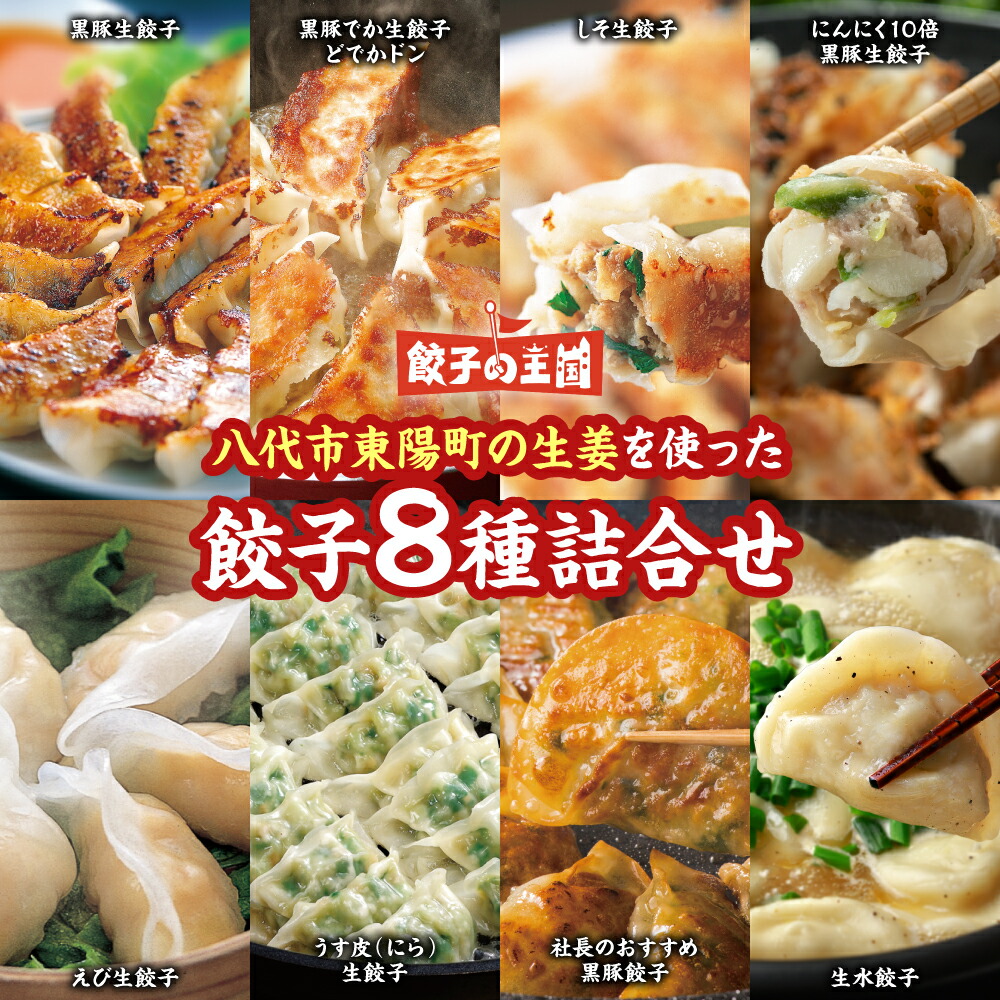 【ふるさと納税】【選べる発送月】餃子の王国 餃子 食べ比べ 8種117個 詰合せ 黒豚生餃子 しそ生餃子 にんにく10倍黒豚生餃子 えび生餃子 うす皮(にら)生餃子 黒豚餃子 生水餃子(スープ付) 餃子のたれ 八代市東陽町の生姜  熊本県 八代市 冷凍 国産 送料無料