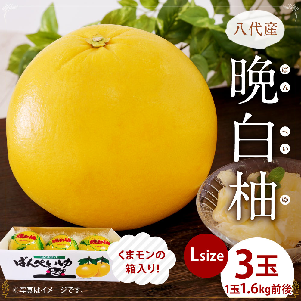 市場 ふるさと納税 先行予約 柑橘 晩白柚 ばんぺいゆ 3玉 1玉約1 6kg前後 くまモンの箱入り 合計約4 8kg前後 八代産 市場 ふるさと納税 先行予約 柑橘 晩白柚 ばんぺいゆ 3玉 1玉約1 6kg前後 くまモンの箱入り 合計約4 8kg前後 八代産