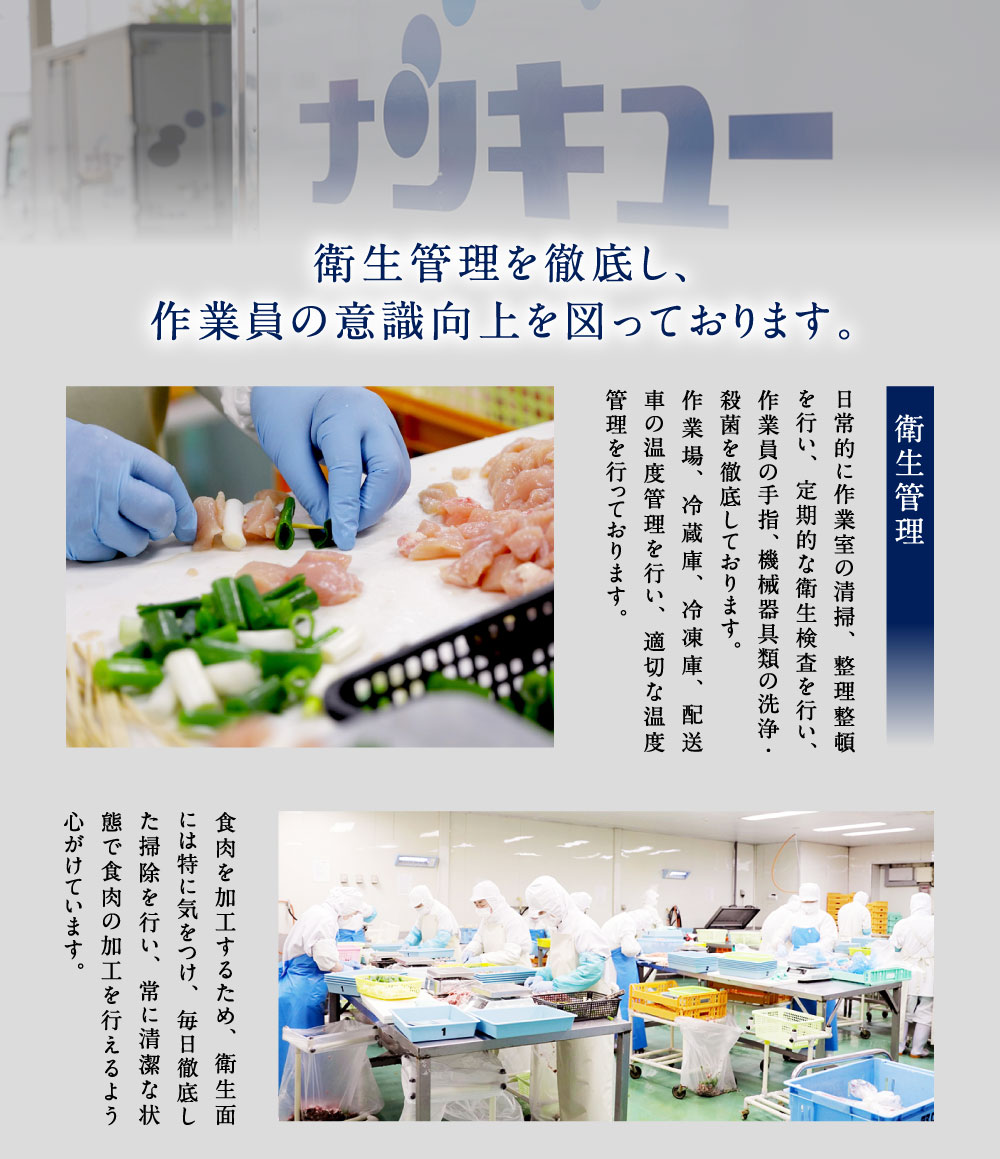 【ふるさと納税】たっぷり60本!九州産やきとりセット60本合計1.8kg焼鳥焼き鳥鶏モモ豚バラネギマお肉串バーベキューBBQ惣菜小分けボリュームバラエティー国産簡単調理おつまみ詰め合わせ冷凍送料無料