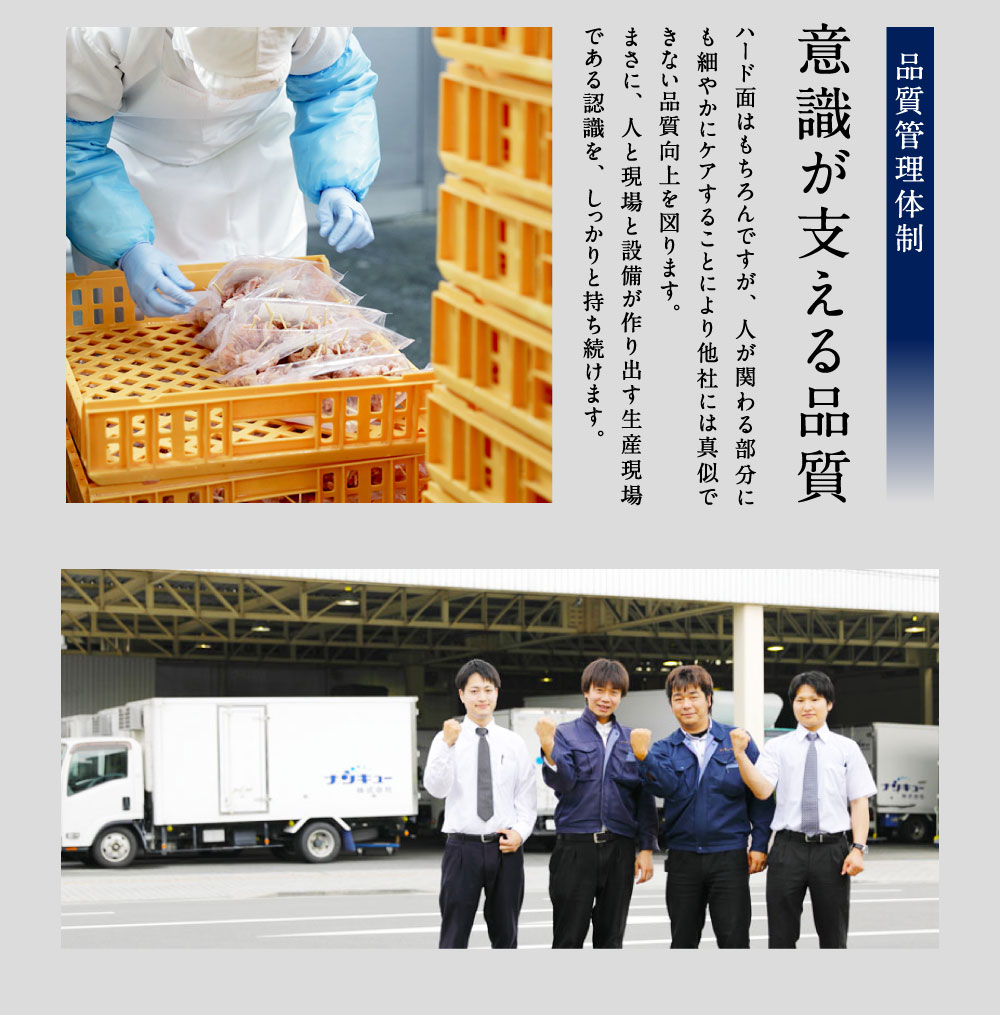 【ふるさと納税】たっぷり60本!九州産やきとりセット60本合計1.8kg焼鳥焼き鳥鶏モモ豚バラネギマお肉串バーベキューBBQ惣菜小分けボリュームバラエティー国産簡単調理おつまみ詰め合わせ冷凍送料無料