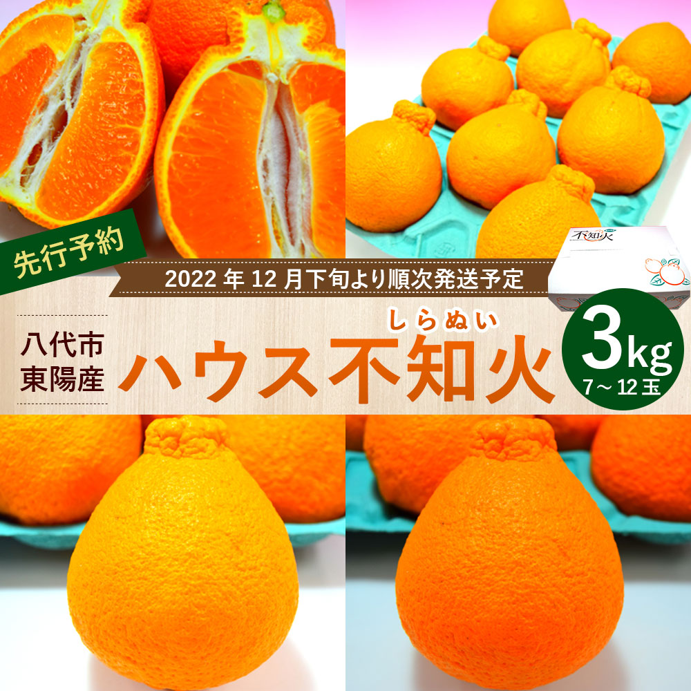 5％OFF 八代市東陽産 ハウス不知火 3kg 7玉〜12玉 不知火 しらぬい 蜜柑 ミカン 柑橘 フルーツ 果物 旬 九州産 熊本県産 送料無料  fucoa.cl