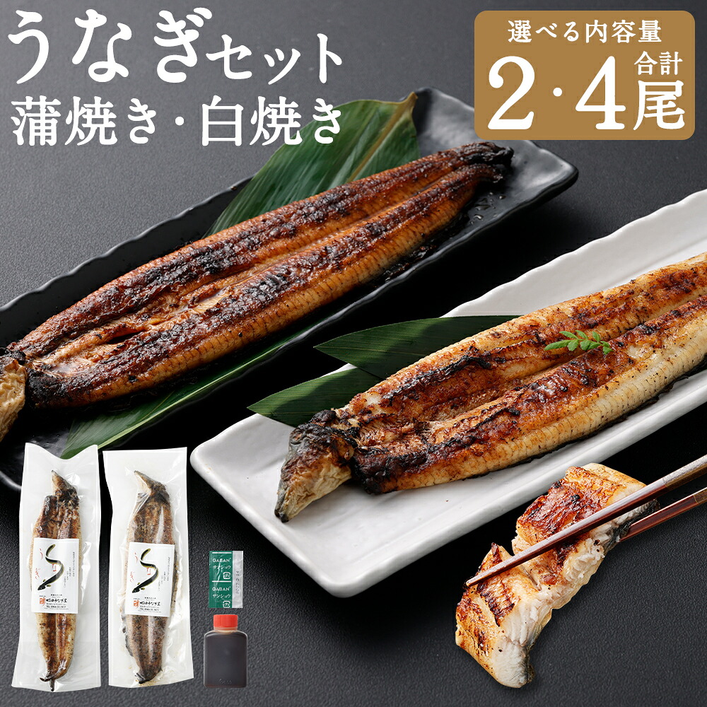 【ふるさと納税】<選べる容量>うなぎの蒲焼き(約160g以上) ・ 白焼き(約150g以上) (各1尾 (計2尾) / 各2尾 (計4尾) ) / 鰻 ウナギ うなぎ 蒲焼 蒲焼き かばやき 白焼 しらやき 魚 さかな 魚介類 魚介 国産 鹿児島県産 宮崎県産 熊本県 人吉市 冷凍 送料無料