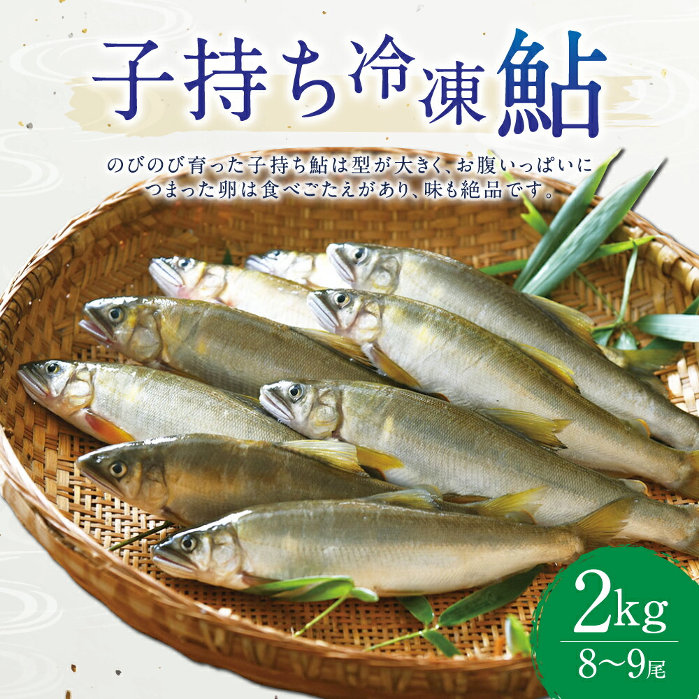 ふるさと納税 子持ち冷凍鮎 2kg 8 9尾 アユ あゆ 魚 熊本県産 72 以上節約 塩焼き 魚介類 送料無料 人吉産 九州産 甘露煮