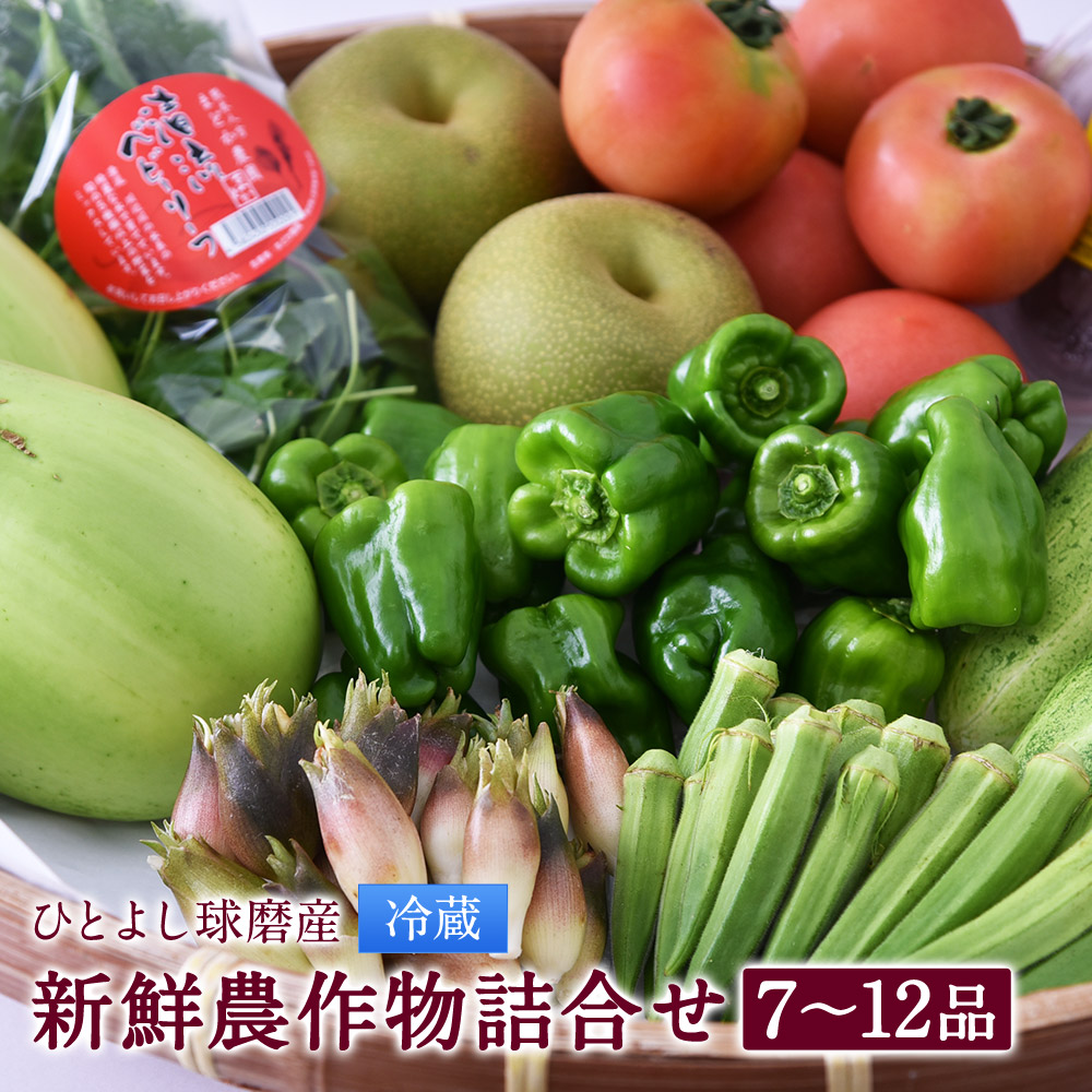 【ふるさと納税】ひとよし球磨産 新鮮農作物詰め合わせ 7～12品 野菜 きのこ 詰め合わせ セット 熊本県産 九州産 野菜 冷蔵 送料無料【2027年3月上旬～下旬に順次発送予定】｜熊本県人吉市