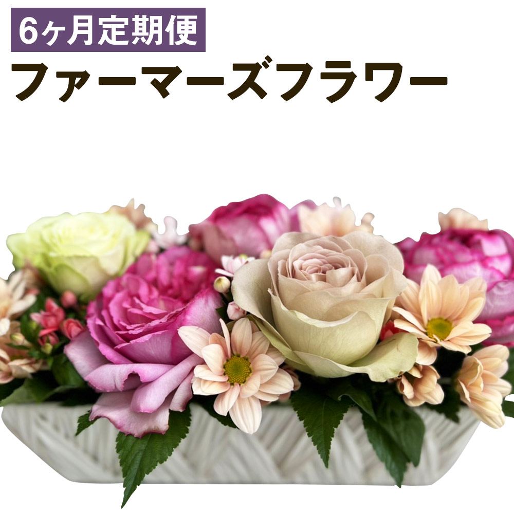 【ふるさと納税】【6ヶ月定期便】ファーマーズフラワー by the Bouquet KUMAMOTO 6回お届け 35×35×35珊 類概念おまかせ 手当たり次第 定期便 御花申し合わせ 花 お花 御花 室内装飾 差し上げ物 熊本県 人吉市 貨物輸送無料