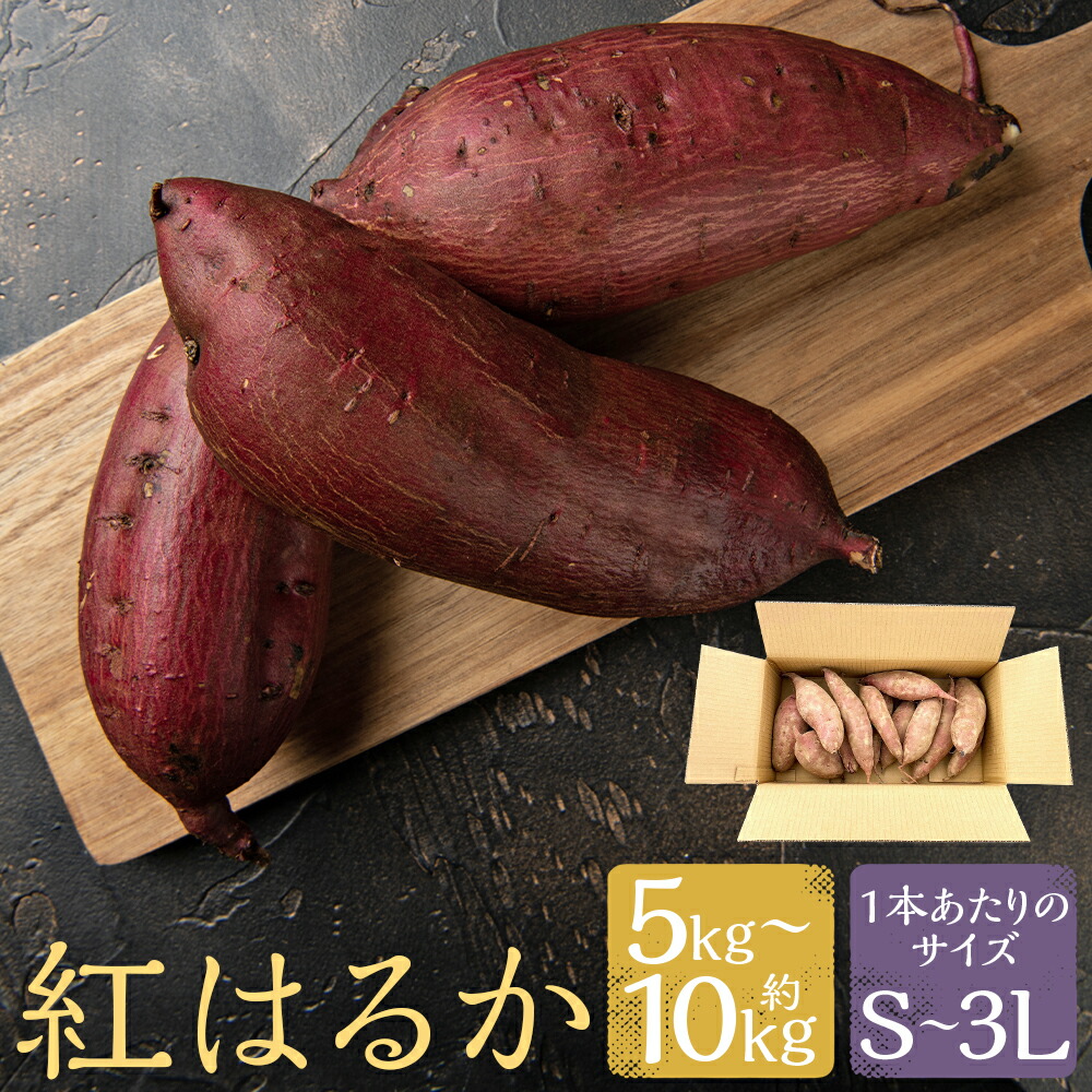 【ふるさと納税】熊本県産 熟成高糖度 紅はるか 熟成生芋 約5kg/約10kg S/M/L/2L/3L 選べる内容量・サイズ さつまいも さつま芋 焼芋 特産品 紅はるか 人吉市 冷凍 送料無料