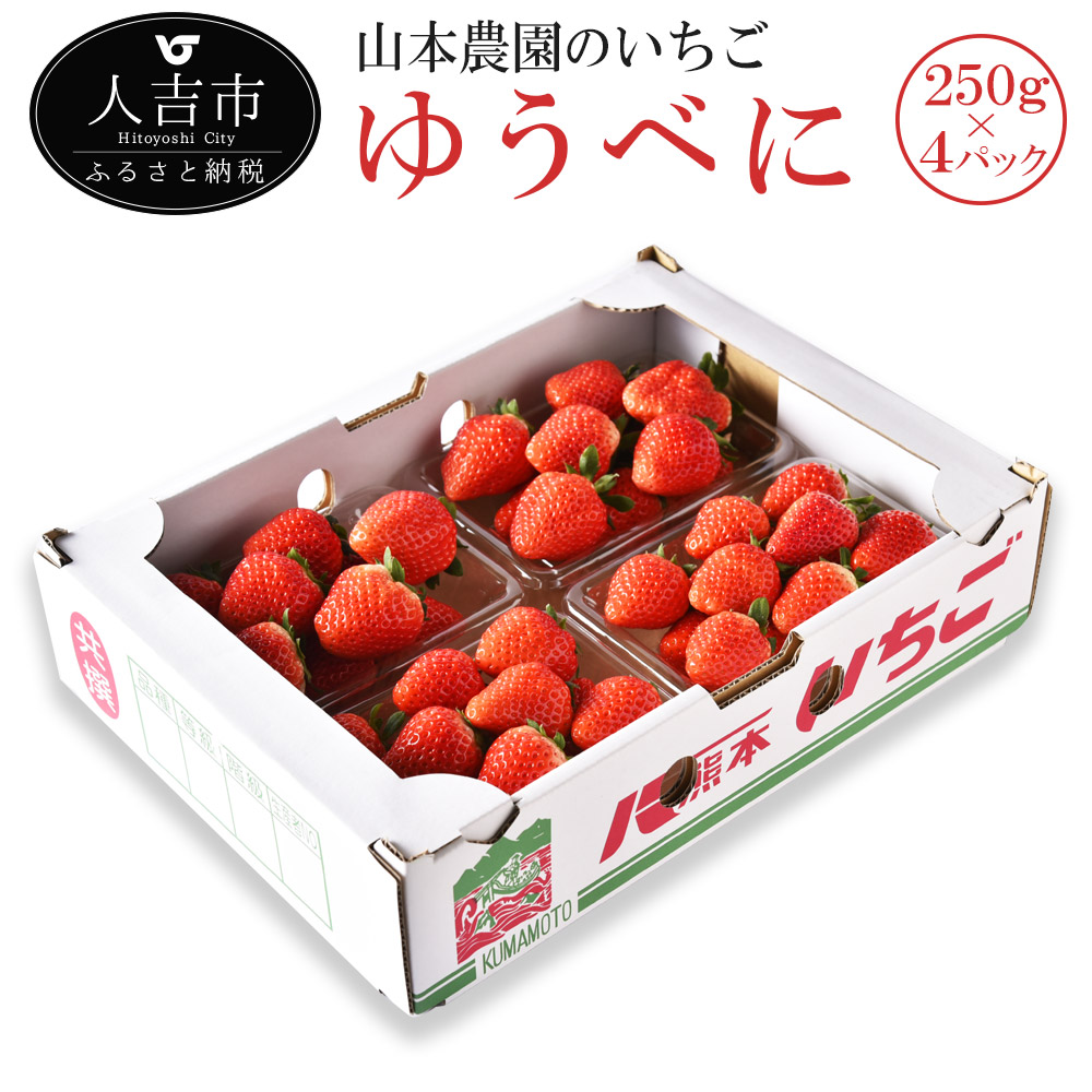 ふるさと納税 山本農園のいちご ゆうべに いちご 250g 4パック 苺 イチゴ 苺 国産 九州産 九州産 熊本県産 果物 フルーツ 送料無料 熊本 県人吉市 ゆうべに は熊本県のオリジナルの品種で ほどよい甘さと酸味が特徴です いちごの香りと旨みを十分に引き出しました ふるさと納税 山本農園のいちご ゆうべに いちご 250g 4パック 苺 イチゴ 苺 国産 九州産 九州産 熊本県産 果物 フルーツ 送料無料 熊本 県人吉市 ゆうべに は熊本県のオリジナルの品種で ほどよい甘さと酸味が特徴です いちごの香りと旨みを十分に引き出しました