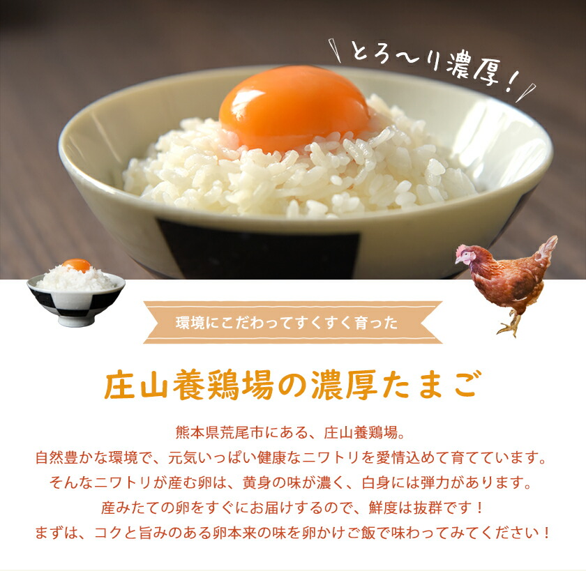 市場 ふるさと納税 地鶏の卵 割れ保障10個付き 庄山養鶏場 40個