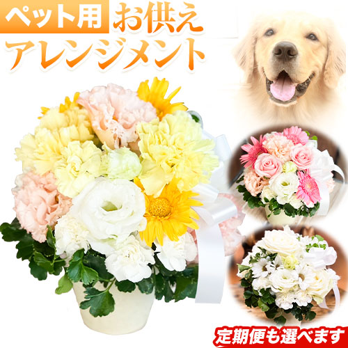 【熊本県荒尾市】山下鹿造バス発着場厳選｜海の芳ばしさ 海苔・出汁特集