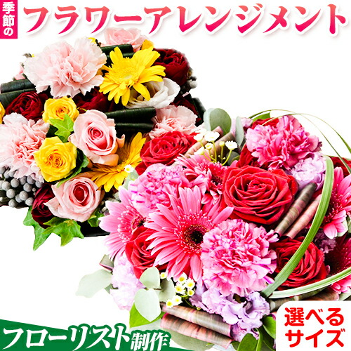 【熊本県荒尾市】山下鹿造バス発着場厳選｜海の芳ばしさ 海苔・出汁特集