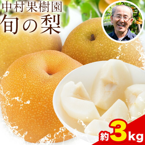 【ふるさと納税】梨 旬の梨 約 2.8kg ～ 3kg 豊水 あきづき のいずれか 旬 中村果樹園 《8月下旬-9月中旬頃出荷》熊本県 荒尾市 なし フルーツ 果物 新鮮