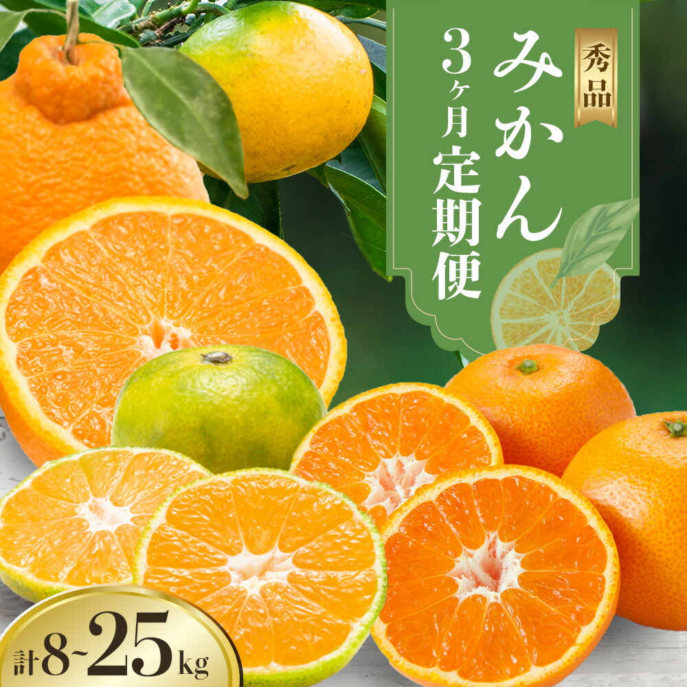 【ふるさと納税】2026年先行予約 秀品 みかん 3ヶ月 定期便 選べる 内容量 8kg 13kg 25kg 日本フルーツ株式会社《10月上旬-12月末頃出荷》熊本県 荒尾市 極早生みかん 温州みかん 葉付き 不知火 果物 フルーツ スイーツ デザート ギフト ご贈答｜熊本県荒尾市 23,400円