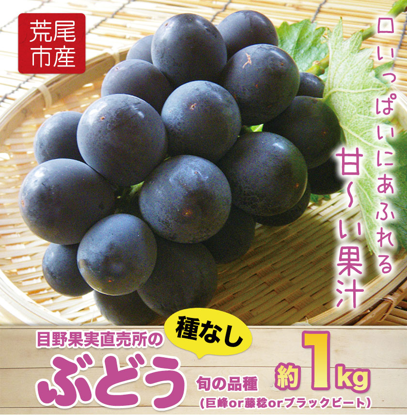 ふるさと納税 先行予約 荒尾市 目野果実直売所の種なしぶどう 約1kg 旬の品種 巨峰or藤稔orブラックビート フルーツ 果物 新鮮 8月中旬 9月下旬頃より順次出荷 Marcsdesign Com