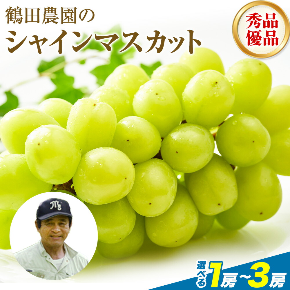 【ふるさと納税】 先行予約 シャインマスカット 選べる 秀品 優品 約600g (1房) 約1.3kg (2～3房)  熊本県荒尾市産《8月下旬-9月下旬頃出荷予定》熊本県 荒尾市 フルーツ 果物 送料無料 葡萄 ぶどう マスカット 選べる 鶴田農園 1kg