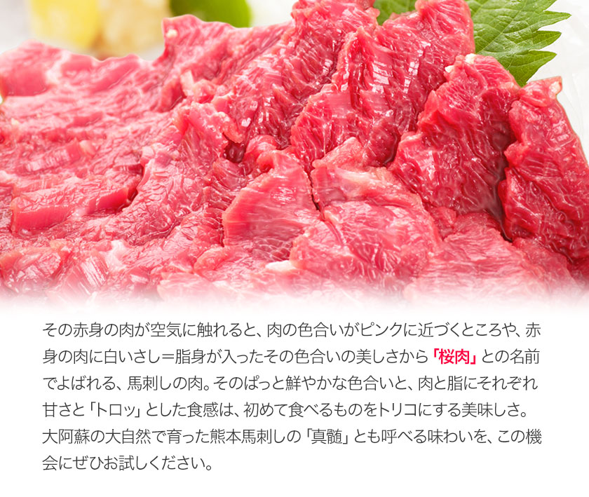【ふるさと納税】★熊本特産馬刺し★馬刺し3種の盛り合わせ【特選霜降り馬刺し100g/ロース馬刺し100g/赤身馬刺し100g×2】+タレ100ml付き《11月中旬-12月上旬頃より順次出荷》