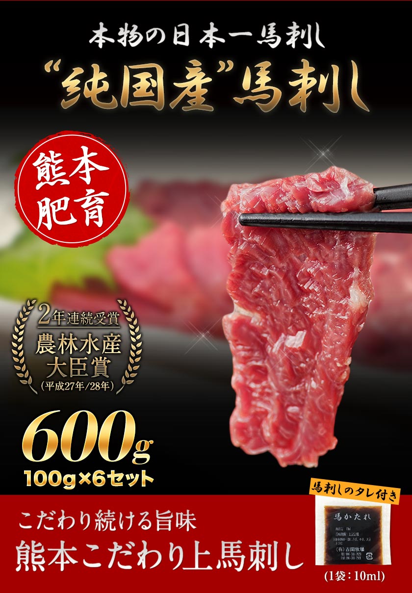 市場 ふるさと納税 10ml×6袋 絶品 肉 100g×6セット たれ付き 牛肉よりヘルシー 冷凍 期間限定 上赤身 馬刺し ブロック 国産 生食用  熊本肥育