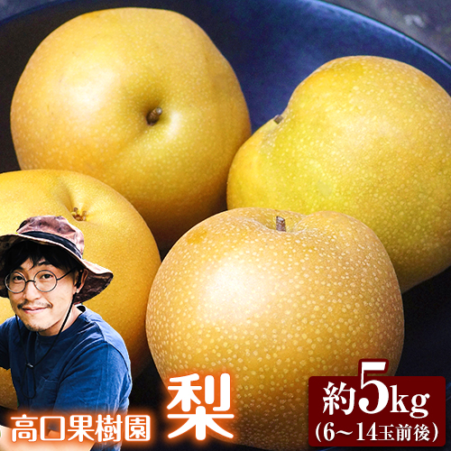 【ふるさと納税】【2025年 先行予約 】 梨 旬の梨 あきづき 豊水 のいずれか 約 5kg (6～14玉前後) 秋 旬 熊本県 荒尾市産 高口果樹園《2025年9月上旬-9月下旬頃出荷》フルーツ 果物 送料無料 和梨 なし お取り寄せ 梨5kg 産地直送