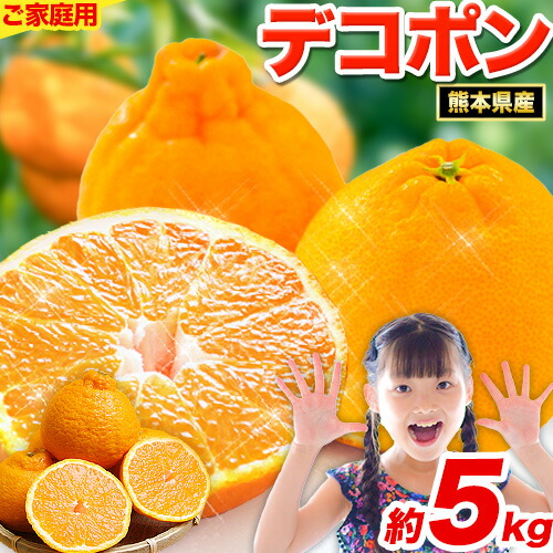 ご家庭用デコポン 約 5kg 前後(約12-24玉前後) 糖度13度以上 《2023年1月下旬-4月末頃より順次出荷》個別光センサー選果 みかん 生産量日本一熊本県産(荒尾市産含む) 柑橘 フルーツ 旬 不知火 先行予約 でこぽん