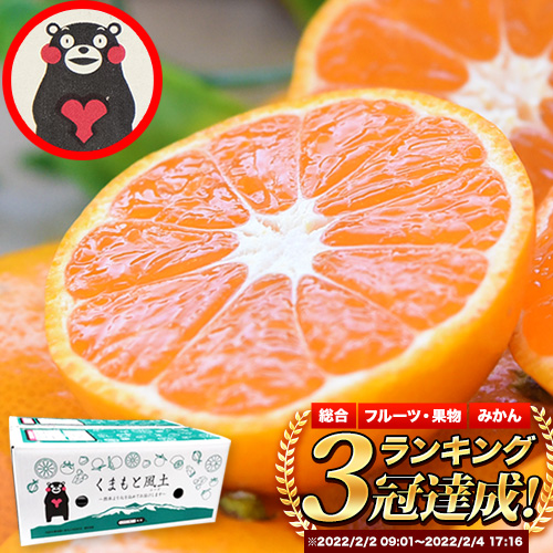 【ふるさと納税】みかん 訳あり 大玉 大粒 ミカン 3kg 6kg 9kg 熊本 ちょっと 訳あり 傷 5L～3Lサイズ 約6kg たっぷり 熊本県産(荒尾市産含む) 熊本県 期間限定 フルーツ 旬 柑橘 ご家庭用 荒尾市 大粒《2027年1月中旬-2月末頃出荷》果物｜熊本県荒尾市 8,250円