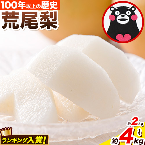 【ふるさと納税】 【2025年 先行予約】梨 荒尾梨 約2kg または 4kg  なし フルーツ 果物 旬 《2025年8月下旬‐11月中旬頃出荷》訳あり 熊本県 荒尾市産 デザート  旬の梨 幸水 豊水 あきづき 他4種 合計7種のいずれかをお届け（品種指定はできません）