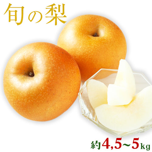 荒尾市 フルーツ ふるさと納税 フレッシュフーズ 新鮮 熊本県 先行予約 なし なし 予約 スイーツ フルーツ くだもの 旬の梨 4 5kg 5kg 熊本県産 果物 デザート ギフト お中元 ご贈答 秋 ふるさと納税 先行予約 熊本県荒尾市産 フレッシュフーズ 旬の梨 幸水