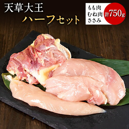 天草大王 ハーフセット 約750gもも・むね・ささみ各1枚 熊本県産 荒尾市《60日以内に順次出荷(土日祝除く)》