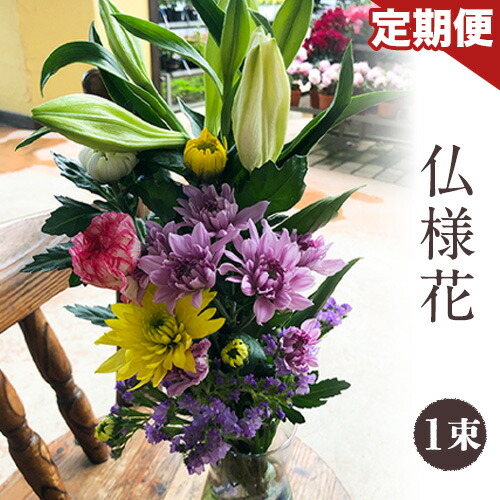 【熊本県荒尾市】山下鹿造バス発着場厳選｜海の芳ばしさ 海苔・出汁特集