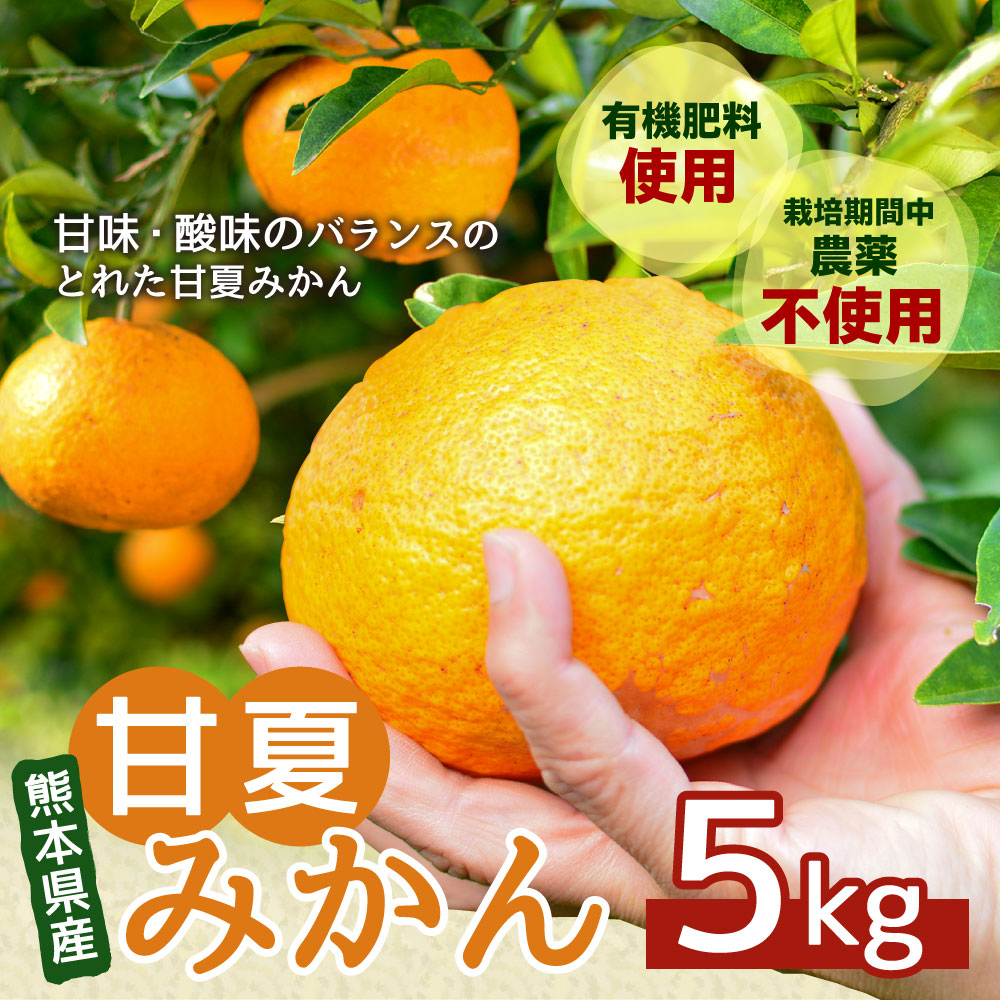 楽天市場 ふるさと納税 甘夏みかん 5kg 栽培期間中 農薬不使用 甘夏 みかん 蜜柑 柑橘 果物 くだもの フルーツ 国産 九州産 熊本県産 水俣市産 送料無料 熊本県水俣市