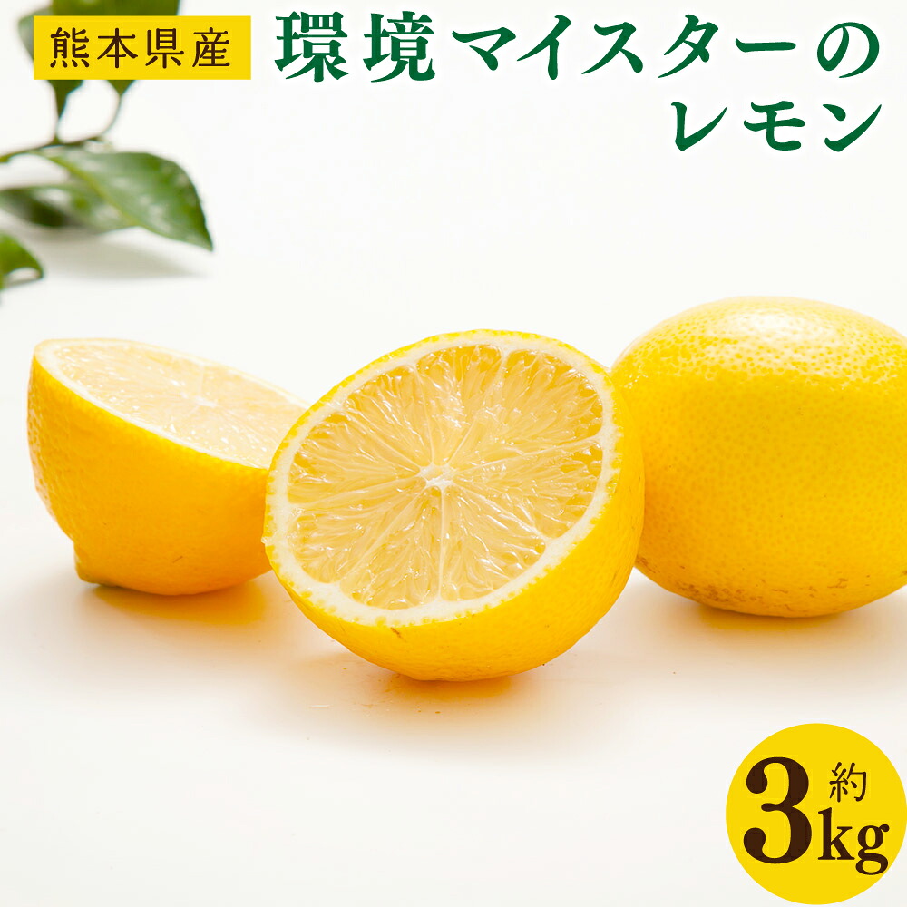 【ふるさと納税】環境マイスターのレモン サイズ混合 約3kg 24個前後 栽培期間中 無肥料 無農薬 レモン 檸檬 れもん 果物 国産 九州産 熊本県産 冷蔵 送料無料【2025年11月上旬‐2026年6月下旬迄順次発送予定】