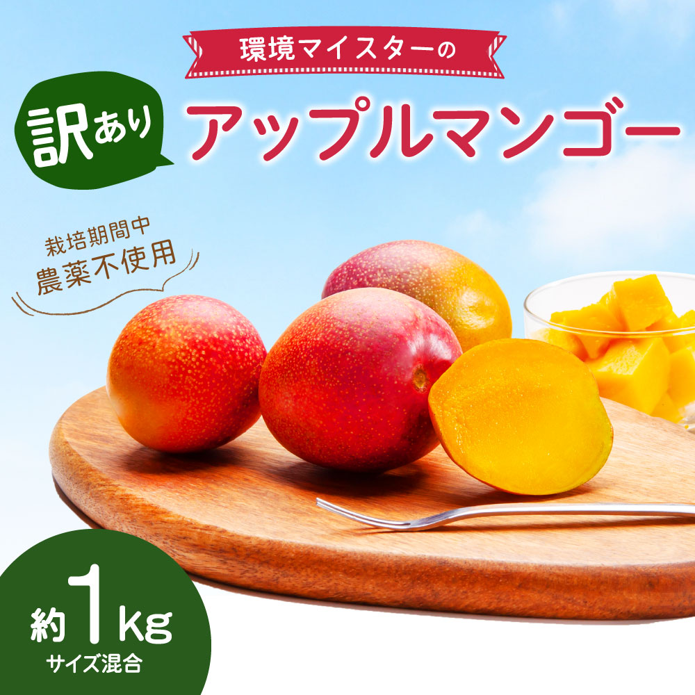 ふるさと納税 訳あり 環境マイスターのアップルマンゴー 合計1kg 5 8玉 サイズ混合 栽培期間中 無農薬 マンゴー 果物 フルーツ 南国フルーツ 旬 夏 傷 不揃い 国産 九州産 熊本県産 冷蔵 送料無料 Lojascarrossel Com Br