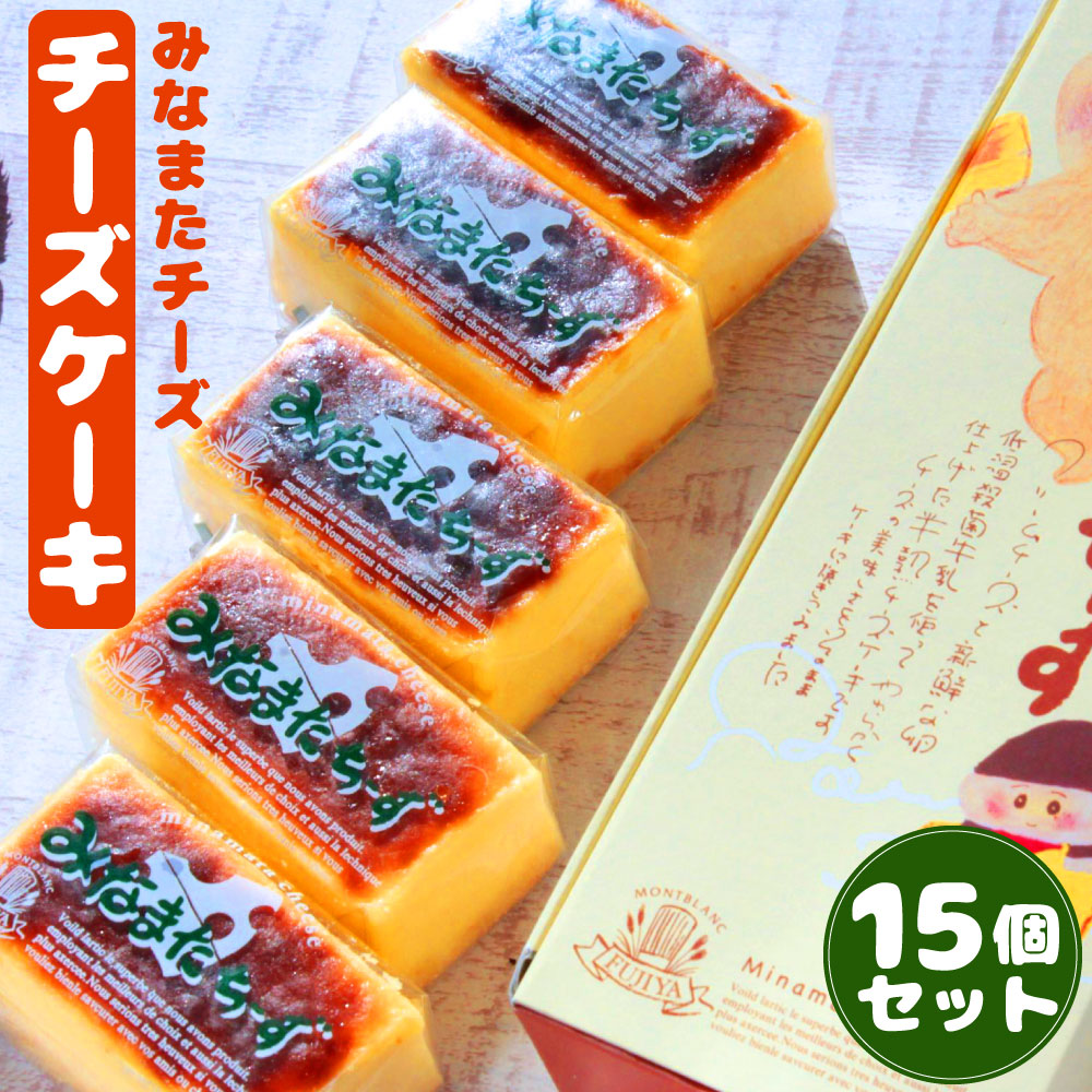 みなまたチーズ 15個入り 1個40g 個包装 チーズ ケーキ おやつ スイーツ 焼き菓子 チーズケーキ 洋菓子 一口サイズ ミニ お菓子 冷凍 国産 九州産 熊本県水俣市 送料無料 超人気新品