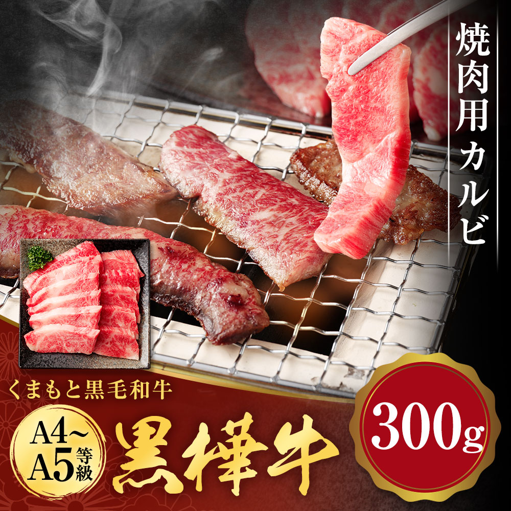 い出のひと時に、とびきりのおしゃれを！ くまもと黒毛和牛 黒樺牛 A4〜A5等級 焼肉用カルビ 合計300g 牛肉 牛 霜降り 赤身 お肉 焼き肉  BBQ 黒毛和牛 国産 九州産 熊本県産 冷凍 送料無料 fucoa.cl