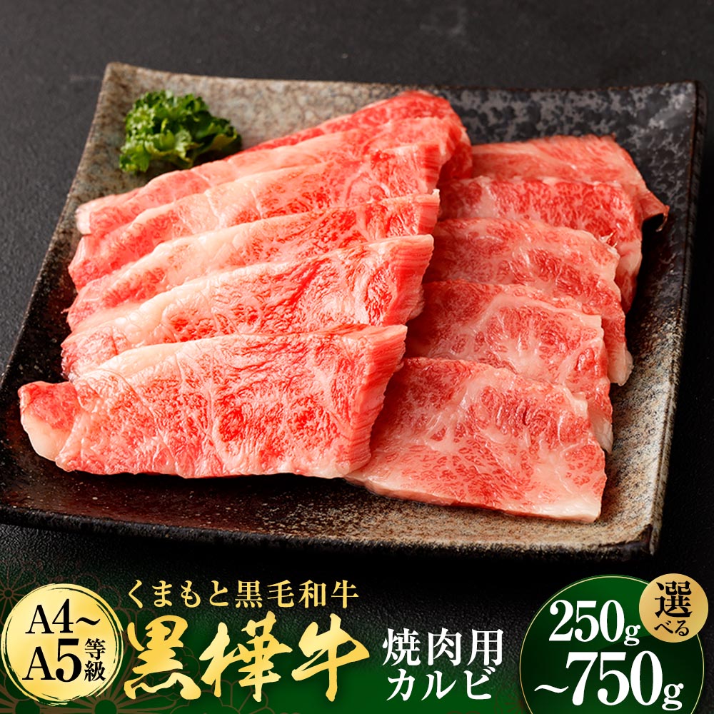 【ふるさと納税】＜容量が選べる＞ 黒樺牛 焼肉用 カルビ 約250g～750g くまもと黒毛和牛 和牛 お肉 牛肉 黒毛和牛 焼肉 焼き肉 BBQ 国産 九州産 熊本県産 冷凍 送料無料