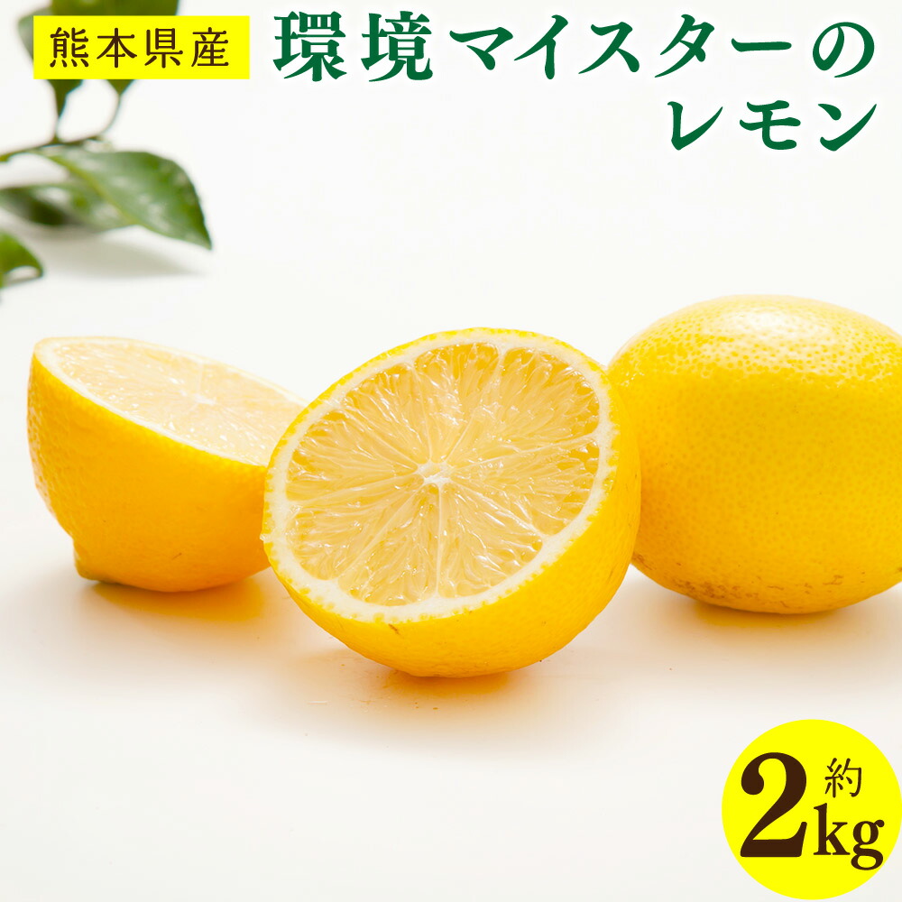 【ふるさと納税】環境マイスターのレモン 2kg サイズ混合 無肥料／栽培期間中農薬を減らして栽培 くだもの 果物 果実 フルーツ 料理 お菓子づくり ドリンク 熊本県産 国産 九州 熊本県 水俣市 送料無料 【2025年11月上旬～2026年6月下旬発送予定】