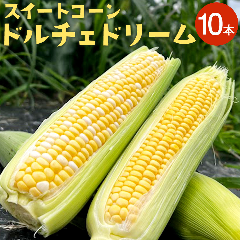【ふるさと納税】熊本県産 スイートコーン ドルチェドリーム 約4.5kg 10本 とうもろこし トウモロコシ 野菜 やさい ベジタブル  メロンより甘い 生でも食べられる 朝獲れ 新鮮 冷蔵 国産 九州産 水俣市産 送料無料【2025年6月上旬‐6月下旬迄発送予定】