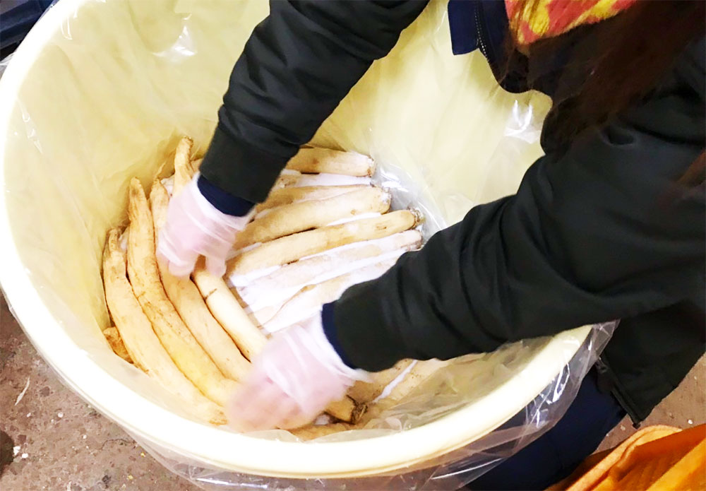 楽天市場 ふるさと納税 水俣特産品 寒漬け3兄弟 究極 柚胡椒 ピリ辛 各2袋 計6袋 セット 大根 漬物 漬け物 つけもの おかず おつまみ 酒の肴 詰め合わせ 熊本県産 送料無料 熊本県水俣市