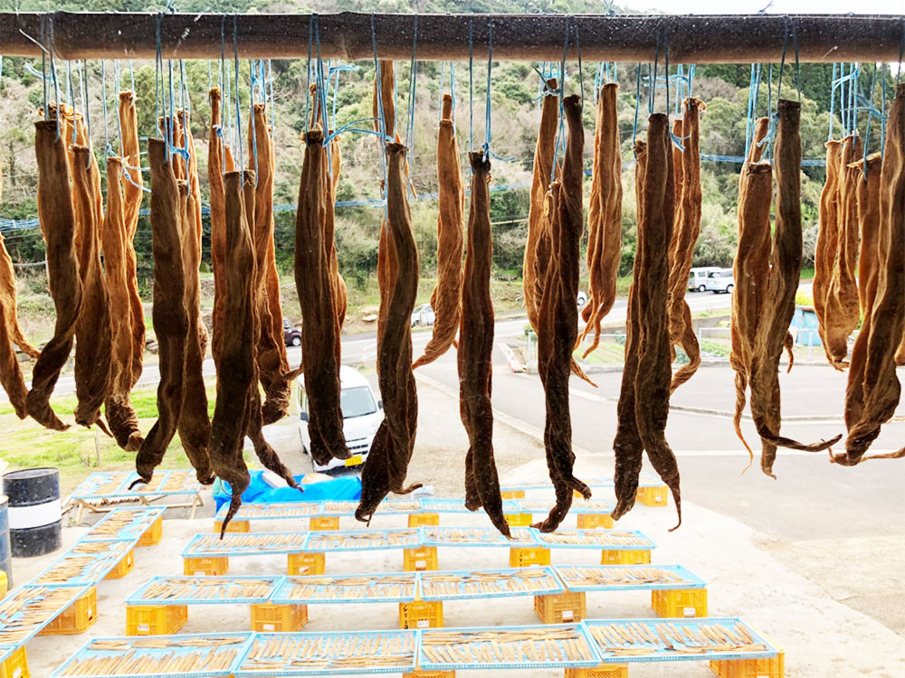 楽天市場 ふるさと納税 水俣特産品 寒漬け3兄弟 究極 柚胡椒 ピリ辛 各2袋 計6袋 セット 大根 漬物 漬け物 つけもの おかず おつまみ 酒の肴 詰め合わせ 熊本県産 送料無料 熊本県水俣市