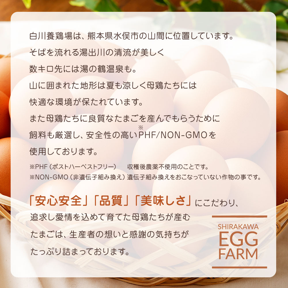 熊本県産 赤たまご 30個 玉子 たまご 30個のうち3個は破損補償内 M Lサイズ 赤卵 もじょか堂 鶏卵 送料無料 生卵 卵 国産 熊本県産 赤たまご 30個 玉子 たまご 30個のうち3個は破損補償内 M Lサイズ 赤卵 もじょか堂 鶏卵 送料無料 生卵 卵 国産